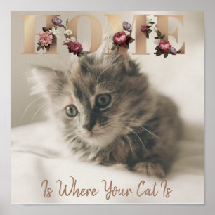 Zuhause ist, wo Ihre Katze ist Poster