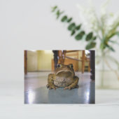 Zuhause-Kröte Postkarte (Stehend Vorderseite)