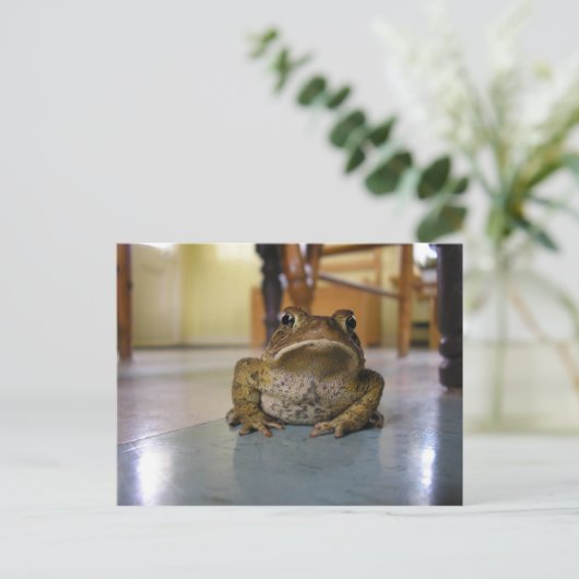 Zuhause-Kröte Postkarte (Stehend Vorderseite)