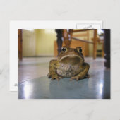Zuhause-Kröte Postkarte (Vorne/Hinten)