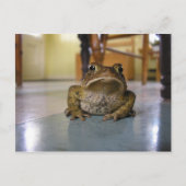 Zuhause-Kröte Postkarte (Vorderseite)