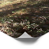 Zuhause-Leinwand Poster (Ecke)