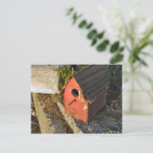 Zuhause mit Aussicht Postkarte (Stehend Vorderseite)