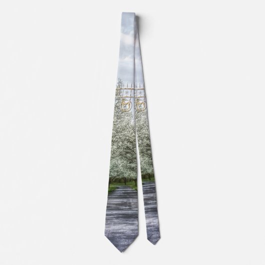 Zuhause Neck Tie Krawatte (Vorderseite)