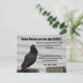 Zuhause Perm Salon Mailer Postkarte (Stehend Vorderseite)