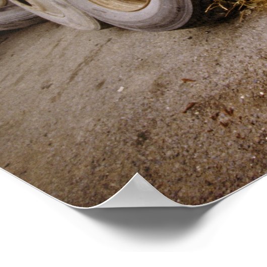 Zuhause Poster (Ecke)