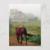 Zuhause Postkarte (Vorderseite)