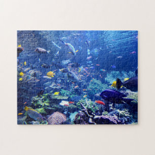 Zuhause School of Fish Puzzle