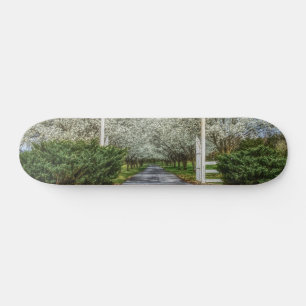 Zuhause Skateboard