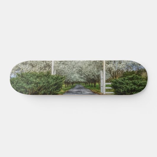 Zuhause Skateboard (Horizontal)