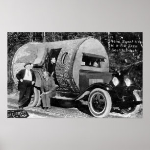 Zuhause-süßes Zuhause in einem Tannen-Baum Poster