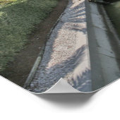 Zuhause und Docks auf dem Kanal Marco Island Flori Poster (Ecke)