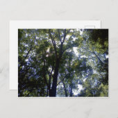 Zuhause von Elfen Postkarte (Vorne/Hinten)