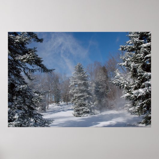 Zuhause- Winter. Print 04072 Poster (Vorne)