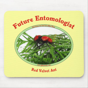 Zukünftige Entomologe-Liebe-Wanzen Mousepad