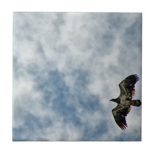 Zukünftige Möglichkeiten Fliese