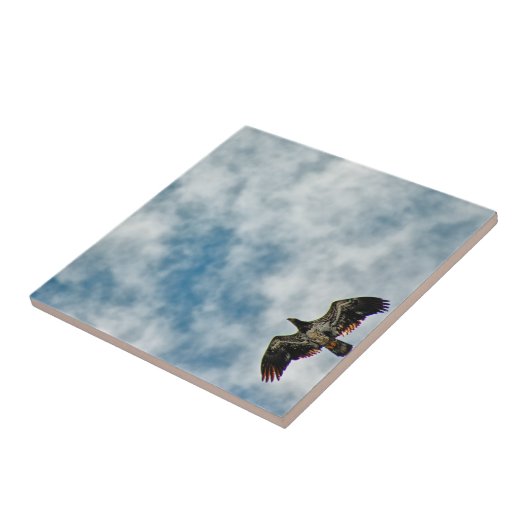 Zukünftige Möglichkeiten Fliese (Seite)