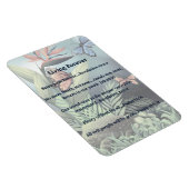 Zukunftsversprechen Magnet (Rechte Seite)