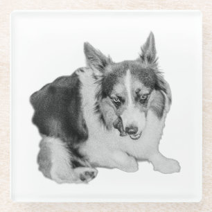 Zulassungsausfall Glasuntersetzer