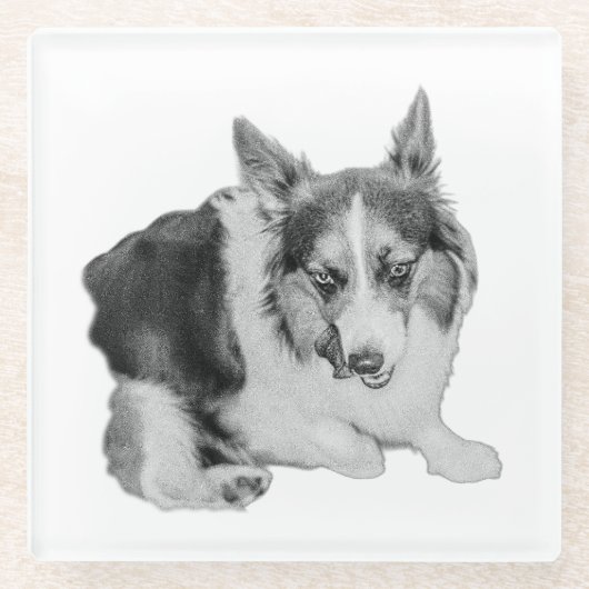 Zulassungsausfall Glasuntersetzer (Vorderseite)