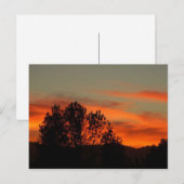 Zulu Dawn Postkarte (Vorne/Hinten)