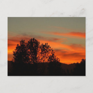 Zulu Dawn Postkarte
