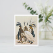 Zulu Soldaten von König Pandas Armee, Teller 20 vo Postkarte (Stehend Vorderseite)