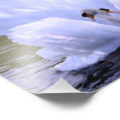 Zum einen Schwäne von Danny Hahlbohm Fotodruck (Ecke)