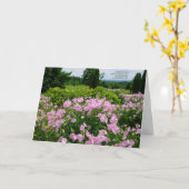 Zum Geburtstag - Garten mit Aussicht Karte (Gelbe Blume)