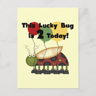 Zum Glück Bug 2. Geburtstag T - Shirt und Geschenk Postkarte