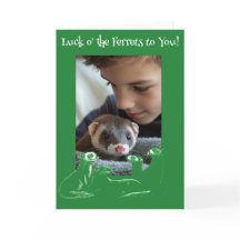 Zum Glück der Feiertag St. Patrick