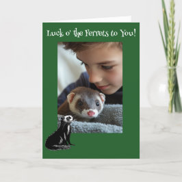 Zum Glück der Ferrets Ferret St Patrick's Day Feiertagskarte