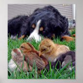 Zum Job Poster (Vorne)