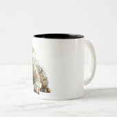 🦖 ☕️ zum Kaffee. Zweifarbige Tasse (VorderseiteRechts)
