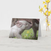 Zum Muttertag Krankenschwester Piglet Card Karte (Gelbe Blume)