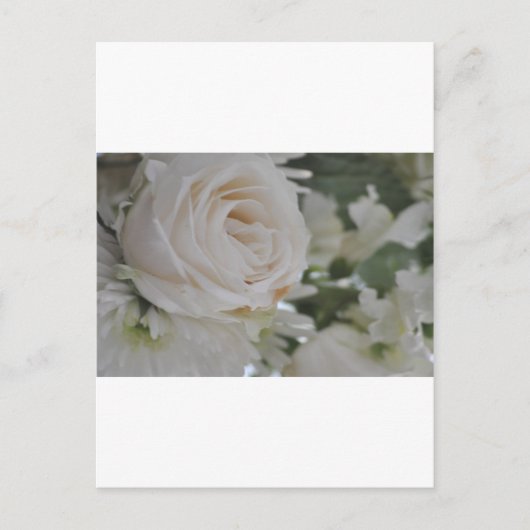 Zum Muttertag Postkarte (Vorderseite)