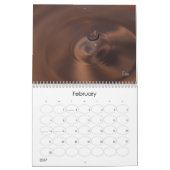 zum Start 2011 Kalender (Feb 2027)