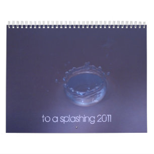 zum Start 2011 Kalender