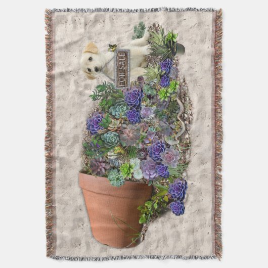 Zum Verkauf angebotene Succula Decke (Vorderseite Vertikal)