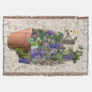 Zum Verkauf angebotene Succula Decke