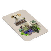 Zum Verkauf angebotene Succula Magnet (Rechte Seite)