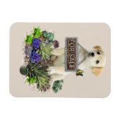 Zum Verkauf angebotene Succula Magnet (Horizontal)