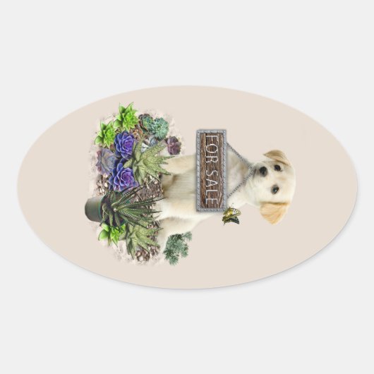 Zum Verkauf angebotene Succula Ovaler Aufkleber (Vorderseite)