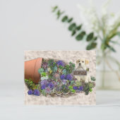 Zum Verkauf angebotene Succula Postkarte (Stehend Vorderseite)