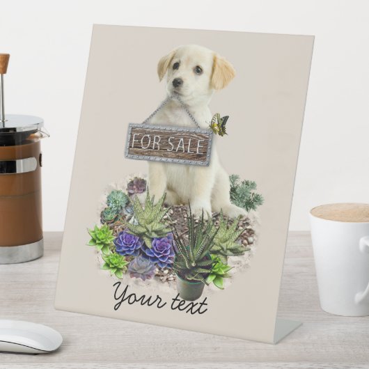 Zum Verkauf angebotene Succula Sockelschild (In Situ)