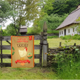 zum Verkauf von Bio frischen Eiern Banner