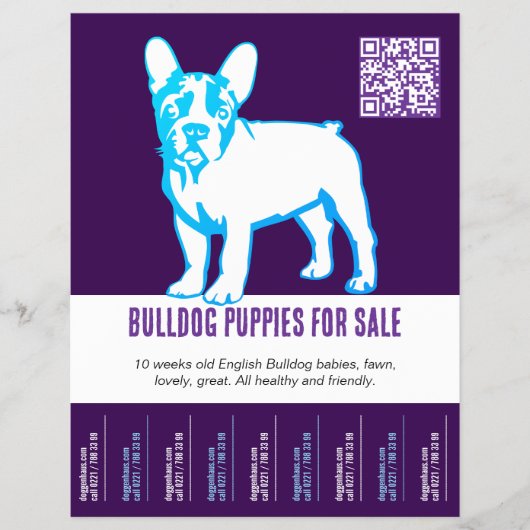 Zum Verkauf von Bulldog Welpen Flyer (Vorne)