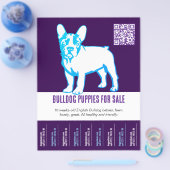 Zum Verkauf von Bulldog Welpen Flyer (Einzeln)