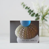 Zuma Beach Postkarte (Stehend Vorderseite)