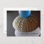 Zuma Beach Postkarte (Vorne/Hinten)